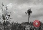Image of 1st Marine Division Peleliu Palau Islands, 1944, second 60 stock footage video 65675022856