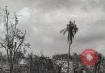 Image of 1st Marine Division Peleliu Palau Islands, 1944, second 61 stock footage video 65675022856