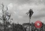 Image of 1st Marine Division Peleliu Palau Islands, 1944, second 62 stock footage video 65675022856