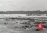 Image of US Navy and Marine combat operations against Japanese forces Peleliu Palau Islands, 1944, second 24 stock footage video 65675022857