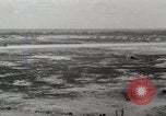 Image of US Navy and Marine combat operations against Japanese forces Peleliu Palau Islands, 1944, second 32 stock footage video 65675022857