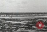 Image of US Navy and Marine combat operations against Japanese forces Peleliu Palau Islands, 1944, second 54 stock footage video 65675022857
