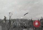 Standbild 5 Marine Regiment 1st Marine Division in Aktion gegen Japanische f Peleliu Palau Inseln, 1944, aus Sekunde 16 historischem Filmmaterial Videoclip 65675022859