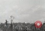 Standbild 5 Marine Regiment 1st Marine Division in Aktion gegen Japanische f Peleliu Palau Inseln, 1944, aus Sekunde 19 historischem Filmmaterial Videoclip 65675022859