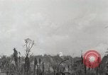 Standbild 5 Marine Regiment 1st Marine Division in Aktion gegen Japanische f Peleliu Palau Inseln, 1944, aus Sekunde 20 historischem Filmmaterial Videoclip 65675022859