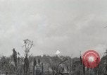 Standbild 5 Marine Regiment 1st Marine Division in Aktion gegen Japanische f Peleliu Palau Inseln, 1944, aus Sekunde 22 historischem Filmmaterial Videoclip 65675022859