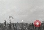Standbild 5 Marine Regiment 1st Marine Division in Aktion gegen Japanische f Peleliu Palau Inseln, 1944, aus Sekunde 24 historischem Filmmaterial Videoclip 65675022859