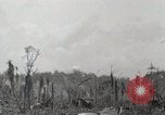 Standbild 5 Marine Regiment 1st Marine Division in Aktion gegen Japanische f Peleliu Palau Inseln, 1944, aus Sekunde 28 historischem Filmmaterial Videoclip 65675022859