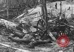 Standbild 5 Marine Regiment 1st Marine Division in Aktion gegen Japanische f Peleliu Palau Inseln, 1944, aus Sekunde 31 historischem Filmmaterial Videoclip 65675022859