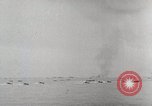 Standbild Schlacht von Peleliu Palau während Zweiten Weltkrieg Peleliu Palau Inseln, 1944, aus Sekunde 12 historischem Filmmaterial Videoclip 65675022860