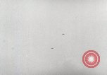Standbild Schlacht von Peleliu Palau während Zweiten Weltkrieg Peleliu Palau Inseln, 1944, aus Sekunde 44 historischem Filmmaterial Videoclip 65675022860