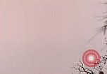 Standbild Vereinigten Staaten Marines Peleliu Palau Inseln, 1944, aus Sekunde 60 historischem Filmmaterial Videoclip 65675022864