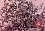 Standbild Vereinigten Staaten Marines Peleliu Palau Inseln, 1944, aus Sekunde 6 historischem Filmmaterial Videoclip 65675022865