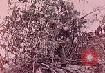 Standbild Vereinigten Staaten Marines Peleliu Palau Inseln, 1944, aus Sekunde 7 historischem Filmmaterial Videoclip 65675022865