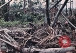 Standbild Vereinigten Staaten Marines Peleliu Palau Inseln, 1944, aus Sekunde 29 historischem Filmmaterial Videoclip 65675022865