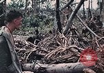 Standbild Vereinigten Staaten Marines Peleliu Palau Inseln, 1944, aus Sekunde 34 historischem Filmmaterial Videoclip 65675022865