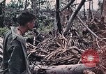 Standbild Vereinigten Staaten Marines Peleliu Palau Inseln, 1944, aus Sekunde 35 historischem Filmmaterial Videoclip 65675022865