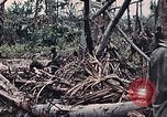 Standbild Vereinigten Staaten Marines Peleliu Palau Inseln, 1944, aus Sekunde 38 historischem Filmmaterial Videoclip 65675022865