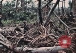 Standbild Vereinigten Staaten Marines Peleliu Palau Inseln, 1944, aus Sekunde 39 historischem Filmmaterial Videoclip 65675022865