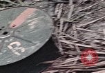 Standbild Vereinigten Staaten Marines Peleliu Palau Inseln, 1944, aus Sekunde 40 historischem Filmmaterial Videoclip 65675022865