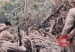 Standbild Vereinigten Staaten Marines Peleliu Palau Inseln, 1944, aus Sekunde 49 historischem Filmmaterial Videoclip 65675022865