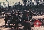 Image of 5th Marine Regiment Peleliu Palau Islands, 1944, second 10 stock footage video 65675022866