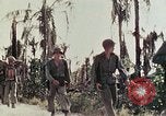 Image of 5th Marine Regiment Peleliu Palau Islands, 1944, second 43 stock footage video 65675022866