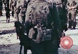 Image of 5th Marine Regiment Peleliu Palau Islands, 1944, second 47 stock footage video 65675022866
