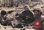 Image of 5th Marine Regiment Peleliu Palau Islands, 1944, second 41 stock footage video 65675022867