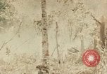 Image of 5th Marine Regiment Peleliu Palau Islands, 1944, second 1 stock footage video 65675022868