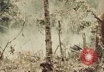 Image of 5th Marine Regiment Peleliu Palau Islands, 1944, second 3 stock footage video 65675022868