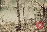 Image of 5th Marine Regiment Peleliu Palau Islands, 1944, second 5 stock footage video 65675022868