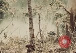 Image of 5th Marine Regiment Peleliu Palau Islands, 1944, second 6 stock footage video 65675022868
