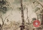 Image of 5th Marine Regiment Peleliu Palau Islands, 1944, second 8 stock footage video 65675022868