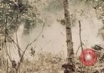 Image of 5th Marine Regiment Peleliu Palau Islands, 1944, second 9 stock footage video 65675022868
