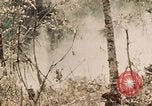 Image of 5th Marine Regiment Peleliu Palau Islands, 1944, second 10 stock footage video 65675022868