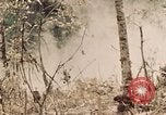 Image of 5th Marine Regiment Peleliu Palau Islands, 1944, second 11 stock footage video 65675022868