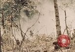 Image of 5th Marine Regiment Peleliu Palau Islands, 1944, second 12 stock footage video 65675022868
