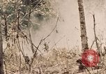 Image of 5th Marine Regiment Peleliu Palau Islands, 1944, second 14 stock footage video 65675022868