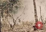 Image of 5th Marine Regiment Peleliu Palau Islands, 1944, second 15 stock footage video 65675022868