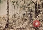Image of 5th Marine Regiment Peleliu Palau Islands, 1944, second 16 stock footage video 65675022868
