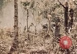 Image of 5th Marine Regiment Peleliu Palau Islands, 1944, second 17 stock footage video 65675022868