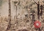 Image of 5th Marine Regiment Peleliu Palau Islands, 1944, second 18 stock footage video 65675022868