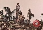 Image of 5th Marine Regiment Peleliu Palau Islands, 1944, second 23 stock footage video 65675022868