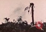 Image of 5th Marine Regiment Peleliu Palau Islands, 1944, second 33 stock footage video 65675022868