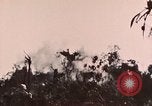 Image of 5th Marine Regiment Peleliu Palau Islands, 1944, second 35 stock footage video 65675022868