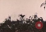 Image of 5th Marine Regiment Peleliu Palau Islands, 1944, second 38 stock footage video 65675022868