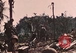 Image of 5th Marine Regiment Peleliu Palau Islands, 1944, second 45 stock footage video 65675022868