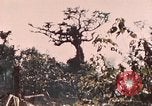 Image of 5th Marine Regiment Peleliu Palau Islands, 1944, second 55 stock footage video 65675022868