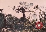 Image of 5th Marine Regiment Peleliu Palau Islands, 1944, second 56 stock footage video 65675022868